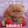 Cutiest Kawaii 1 28
