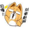 小賤狗我最懂你P.1/2 14