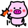 Daily pig 26