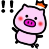 Daily pig 28