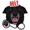 Hi! ~