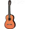 instrumentos musicales 11
