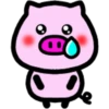 Daily pig 29