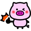 Daily pig 30