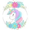 Unicorn 2  Clásica 29