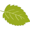 क्लासिक गिरावट 30