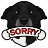 SORRY