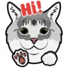 Hi!