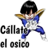 Frases Dragon Ball Z 5