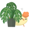 Pájaros de algodón 6