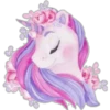 Unicornio  2 6