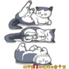 Cats Love  ️1 6