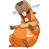 Carpincho 7
