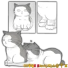 Cats Love  ️1 7