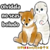 Olvidala
no seas
boludo
Eli Javi(JD)☆QTX