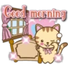 cats everywhere 7