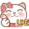 Sugar white cat 7