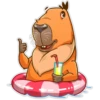 Carpincho 9
