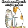 Mofu Cats 2 5