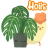 Pájaros de algodón 8