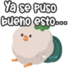 Pájaros de algodón 11