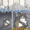 Cats Love  ️1 13