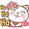 Sugar white cat 11