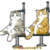 Mofu Cats 2 9