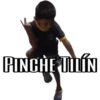 PINCHE TÍN