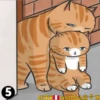 Cats Love  ️1 15