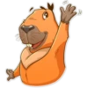 Carpincho 16