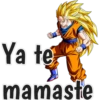 Frases Dragon Ball Z 11