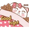 Sugar white cat 13