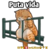 Cats Love  ️1 16