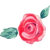 FlOwErS & WoRdS 12