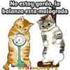 Mofu Cats 2 13