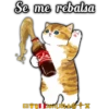 Se me rebalsa
Cola
Eli Javi (JD) A