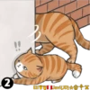 Cats Love  ️1 17
