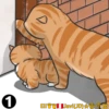 Cats Love  ️1 18