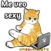Mofu Cats 2 14