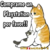 Mofu Cats 2 15