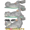 Cats Love  ️1 20