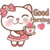 Sugar white cat 19