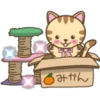 cats everywhere 22