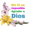 Mensajes De Fe 2 22