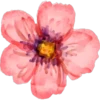 FlOwErS & WoRdS 22