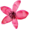 FlOwErS & WoRdS 23