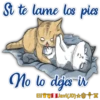 Cats Love  ️1 26