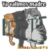 Cats Love  ️1 28