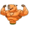 Carpincho 25